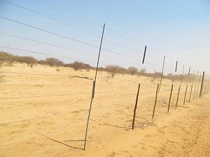 Einzunung der Cattle Ranch in Namibia