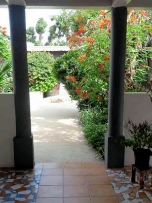 zum Garten des Wohnhauses