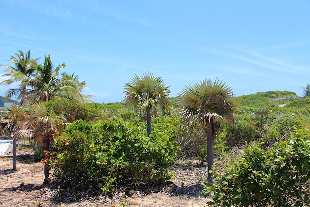 Baugrundstck mit Ausbauhaus am Meer von Long Island