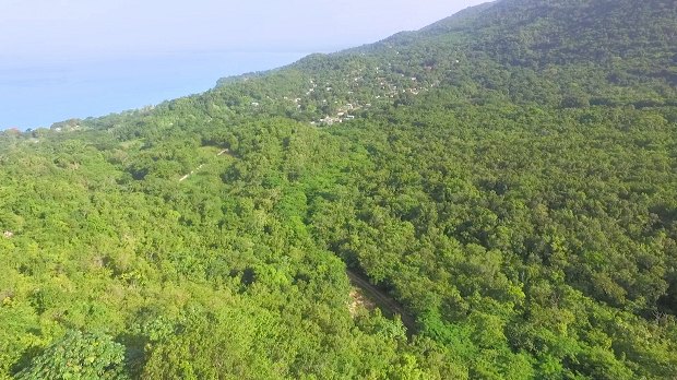 Blufields Baugrundstck nah dem Meer in Jamaika zum Kaufen