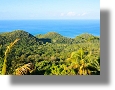Grundstücke der Karibik in Jamaika kaufen vom Immobilienmakler Mittelamerika