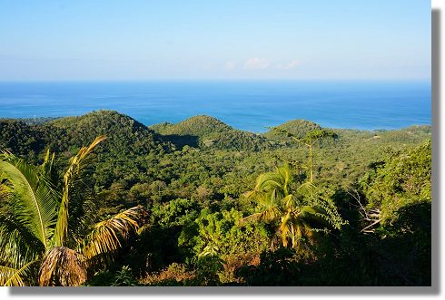 Grundstcke bei Belmont und Mearnsville Westmoreland Jamaika