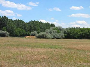 Agrarland zum Reitstall gehrend