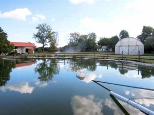 Regenwasserteich vom Reitstall