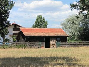 Schafstall Pferdeboxen zum Reitstall Gestt in Ungarn