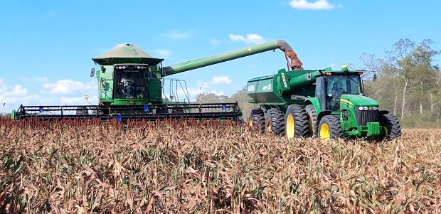 Futteranbau der Rinderfarm