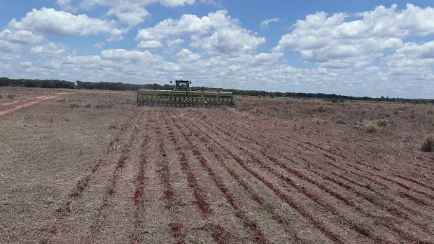 Futterernte der Rinderfarm