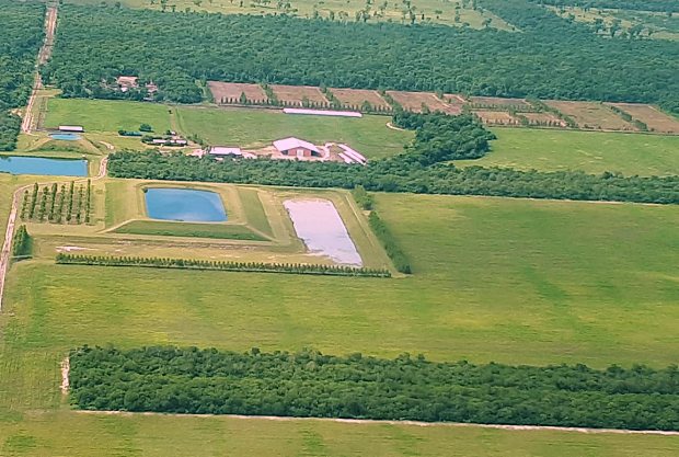 Rinderfarm in Paraguay zum Kaufen