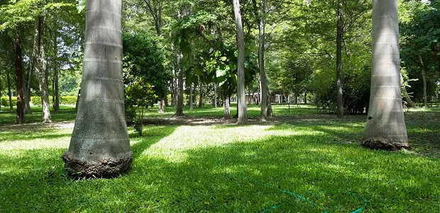 Grundst�ck vom Farmhaus der Rinderfarm in Paraguay