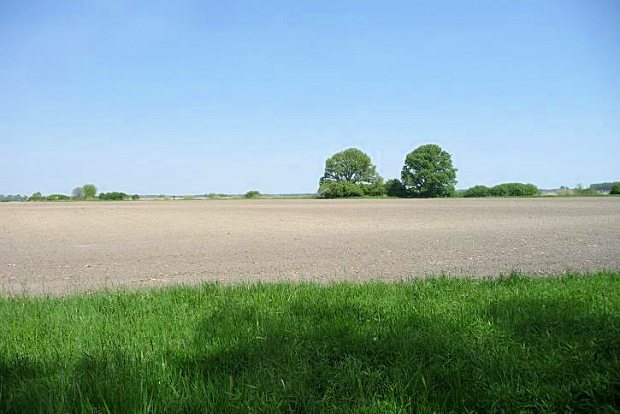 Wiese und Ackerland in Hercegszanto Baja Ungarn