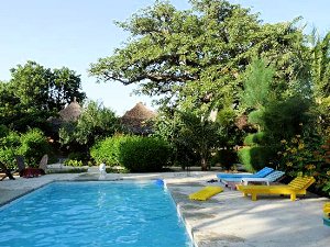 Swimmingpool der Ferienanlage