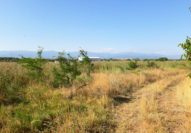 Industriegrundstck Gewerbegrundstck in Plovdiv Bulgarien zum Kaufen