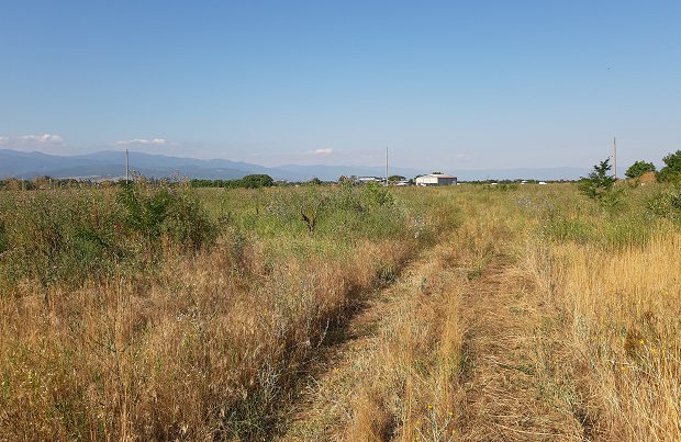 Gewerbegrundstck fr Industrie in Plovdiv Bulgarien zum Kaufen vom Immobilienmakler