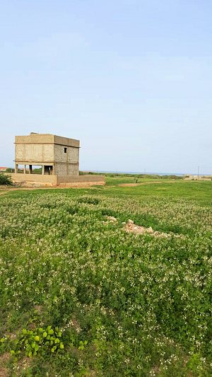 Seitenansicht vom Wohnhaus auf Maio in Morro der Kap Verden Seitenansicht vom Wohnhaus auf Maio in Morro der Kap Verden