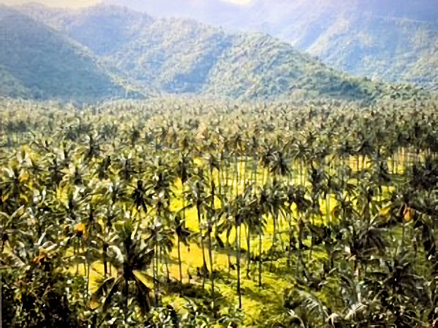Senggigi Baugrundst�ck mit Meerblick