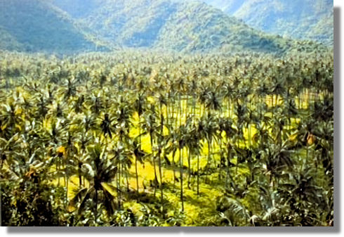 Grundst�ck bei Senggigi Batu Layar Lombok zum Kaufen