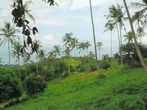vom Baugrundstck auf Lombok in Richtung Gili Inseln