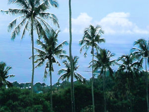 Senggigi Baugrundst�ck auf Lombok in Richtung Bali