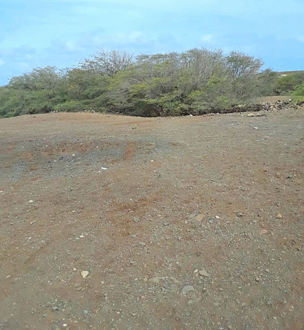 Baugrundstcke in Morro der Insel Maio Kap Verde