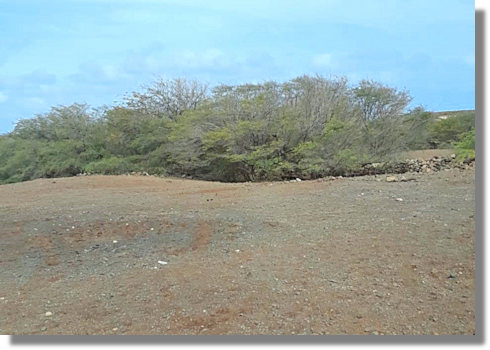 Grundstcke in Morro der Insel Maio Kap Verde