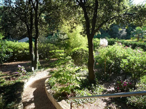 Garten vom Einfamilienhaus