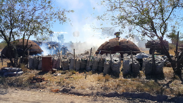 Holzkohleproduktion der Estancia in Paragay