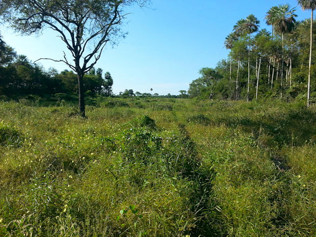Estancia in Sdamerika zum Kaufen