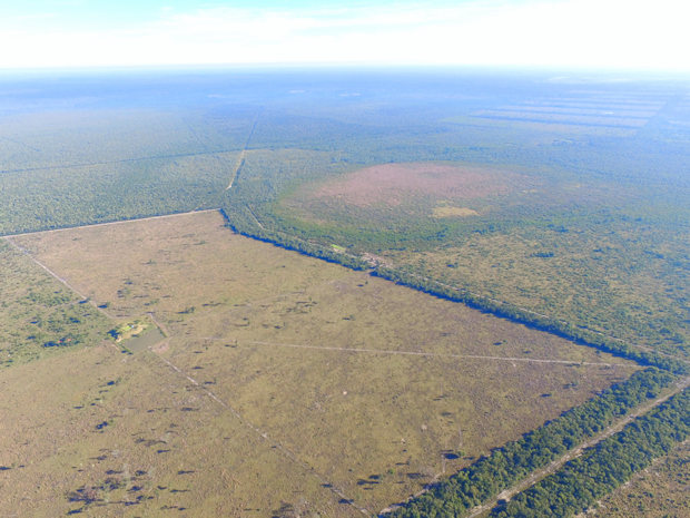 Farmland Presidente Hayes