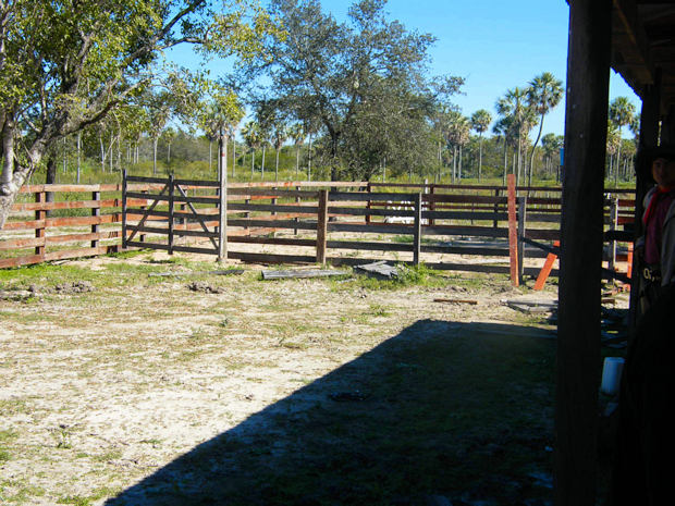 Estancia im Gral. Bruguez Paraguay
