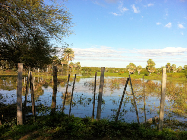 Wasserstelle auf dem Farmland