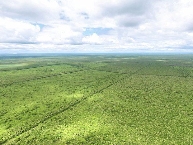 Farmland Presidente Hayes Paraguay