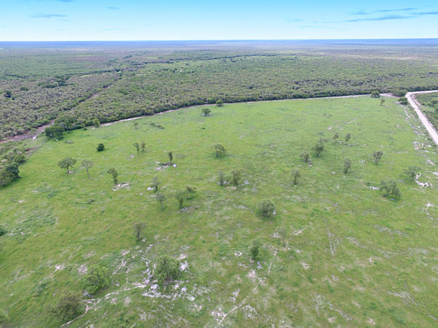 Weideland der Estancia