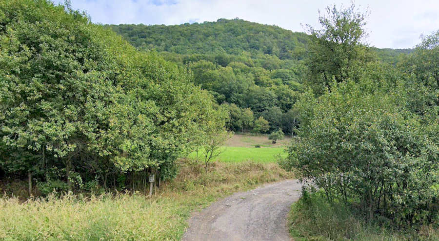 Agrarland Wiesen Grnland Weiden Weideland in Mala Velenbei Decin kaufen