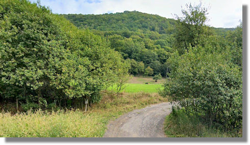 Grundstck fr Landwirtschaft Wiesen Grnland Weiden Weideland Mala Velen kaufen