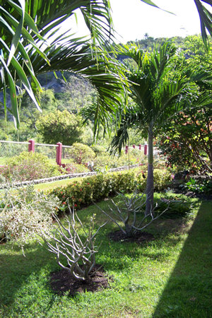 Garten vom Ferienhaus