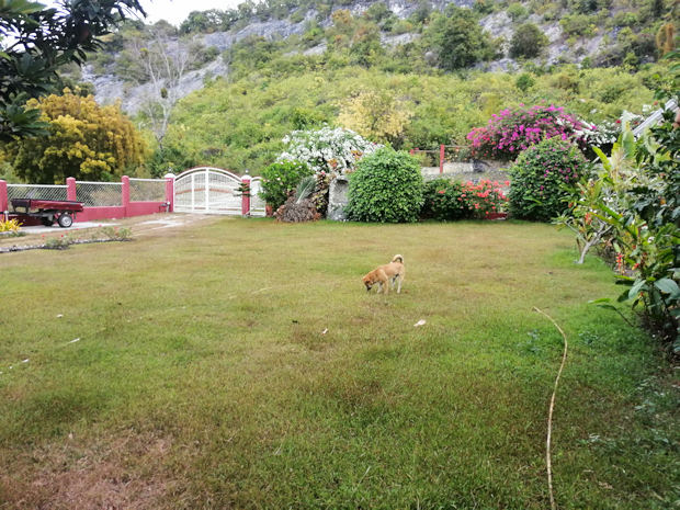 Grundstck vom Ferienhaus auf Cebu in Badian