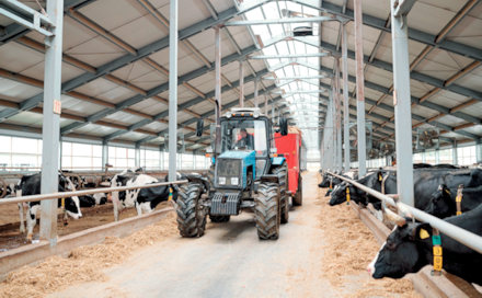 Milchviehhaltung in Russland Milchviehhaltung in Russland