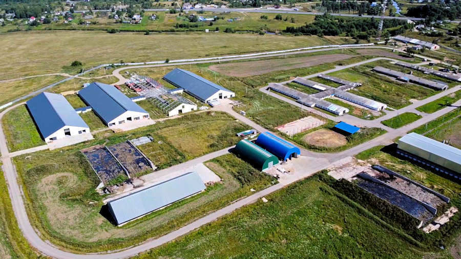 Milchbetrieb in Russland zum Kaufen Milchbetrieb in Russland zum Kaufen