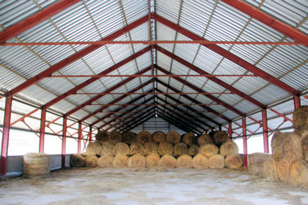 Scheune vom Milchbetrieb in Russland Scheune vom Milchbetrieb in Russland