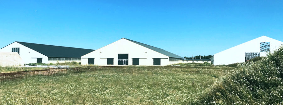 Stallungen vom Milchbetrieb Stallungen vom Milchbetrieb