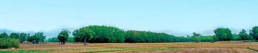 Agrarland vom Milchviehbetrieb in Russland Agrarland vom Milchviehbetrieb in Russland
