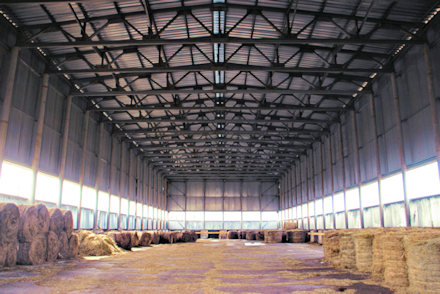 Landwirtschaftsbetrieb in Russland zum Kaufen Landwirtschaftsbetrieb in Russland zum Kaufen