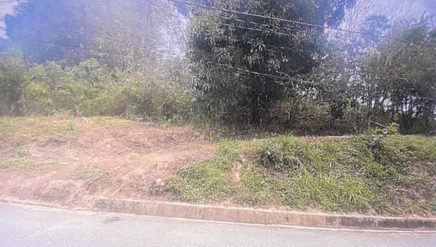 Baugrundst�cke in Plymouth auf Tobago zum Kaufen