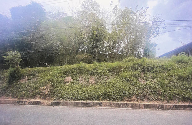 Tobago Baugrundst�ck in Plymouth