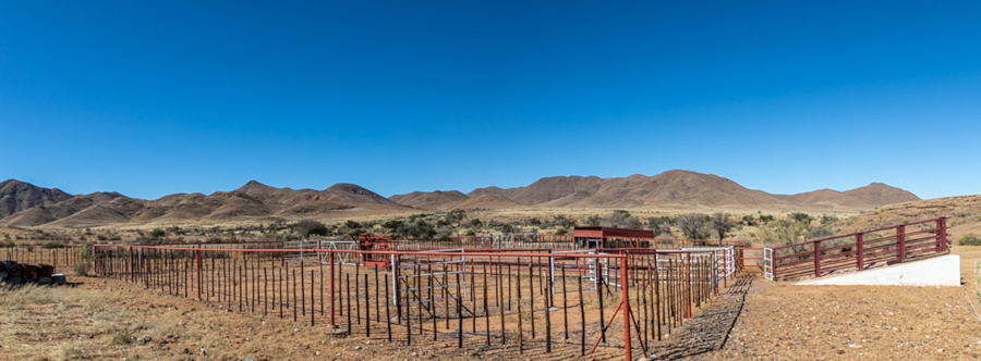 Rinderfarm in Namibia mit Lodge in Namibia zum Kaufen