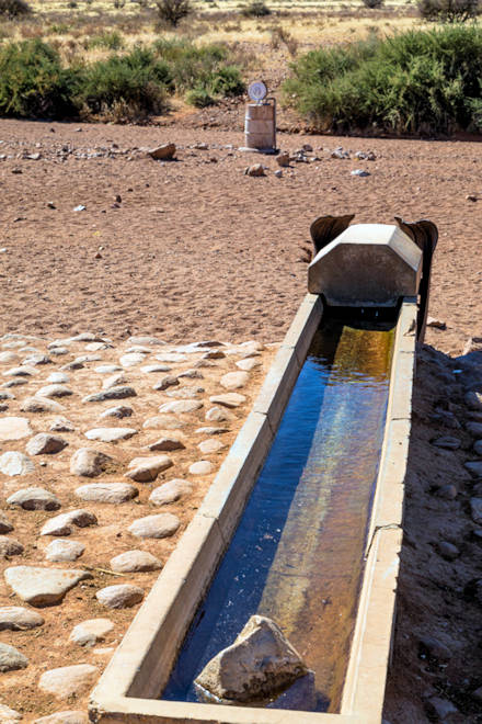 Trnke der Rench in Namibia