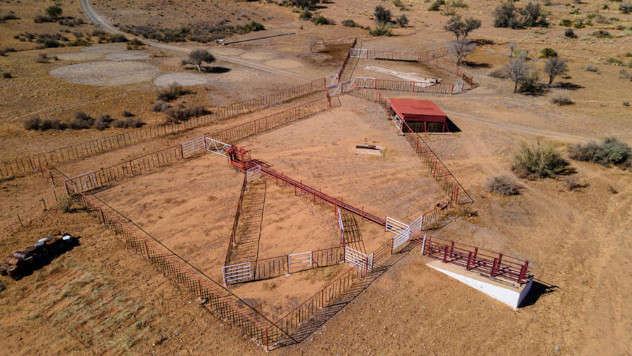 Schaffarm in Namibia mit Lodge