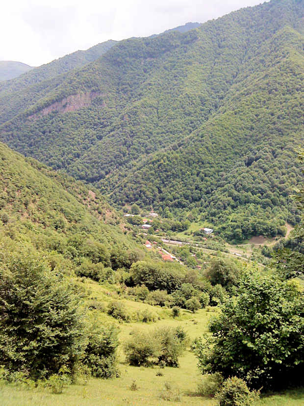 Umgebung des Ferienhauses in Passanauri Georgien