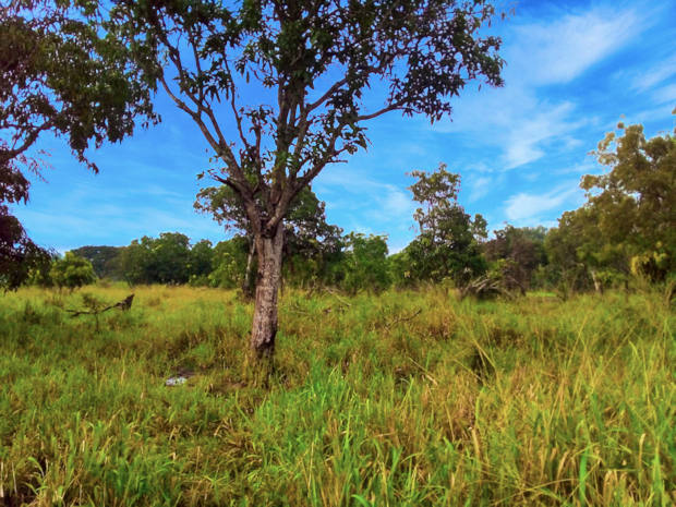 Grundstck fr Landwirtschaft der Nord-Zentralprovinz in Sri Lanka