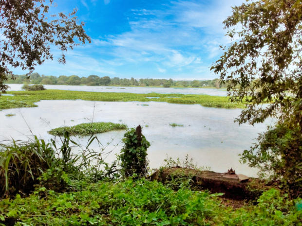 See vom Agrarland in Sri Lanka